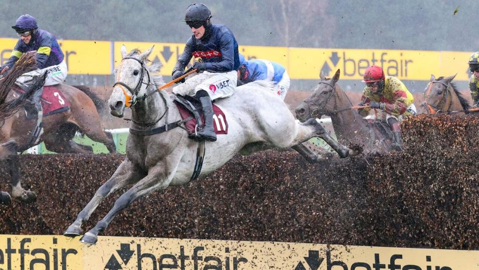 snow leopardess horse grand national